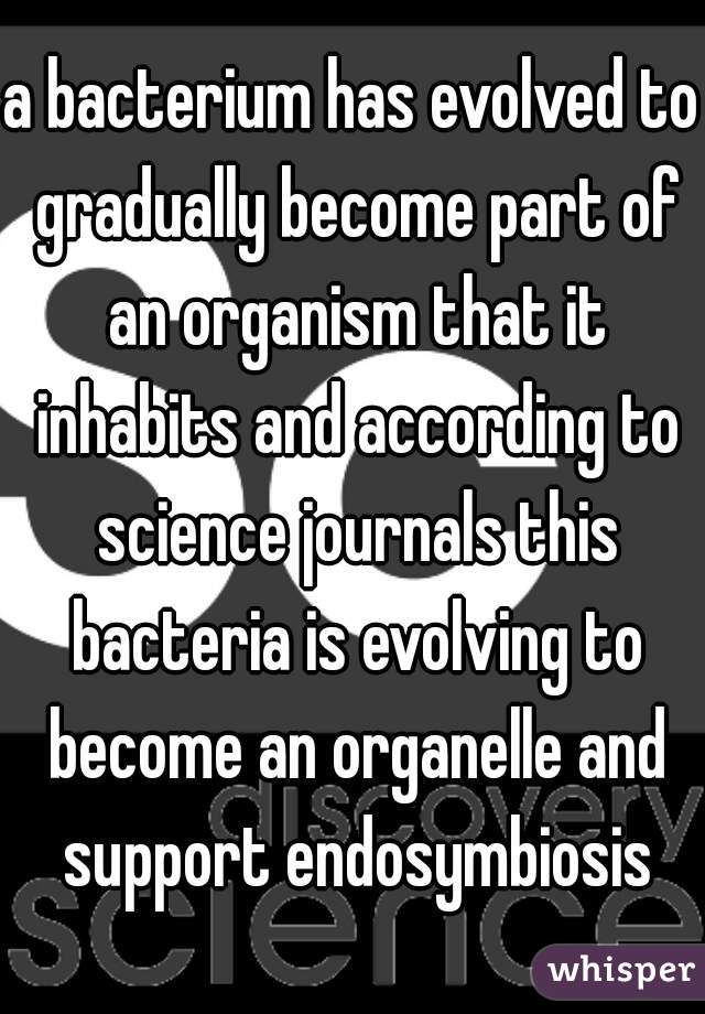 a bacterium has evolved to gradually become part of an organism that it inhabits and according to science journals this bacteria is evolving to become an organelle and support endosymbiosis