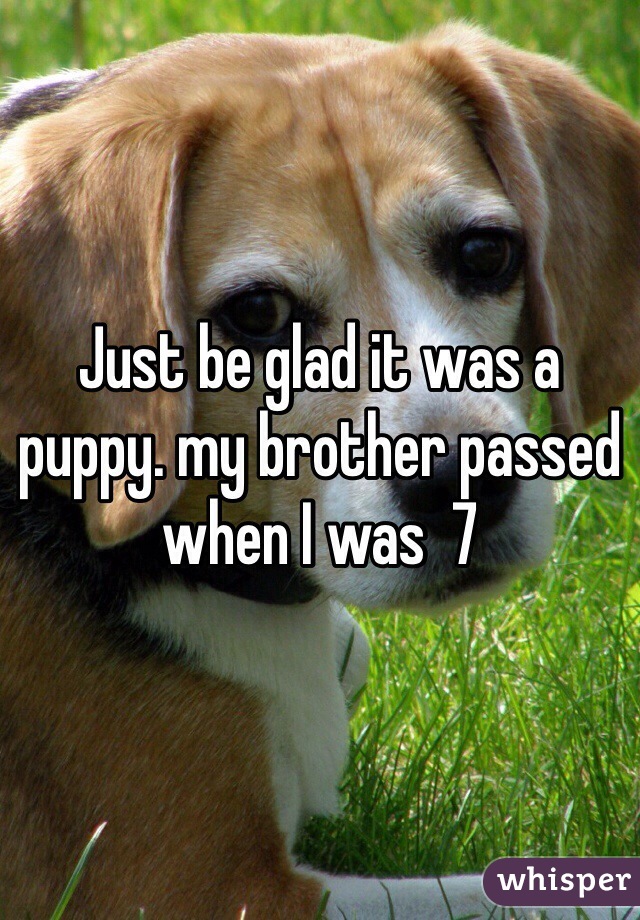 Just be glad it was a puppy. my brother passed when I was  7