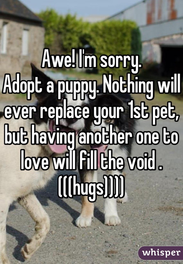 Awe! I'm sorry.
Adopt a puppy. Nothing will ever replace your 1st pet, but having another one to love will fill the void .(((hugs))))