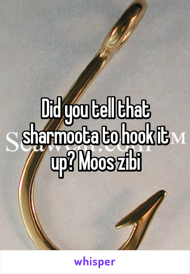 Did you tell that sharmoota to hook it up? Moos zibi