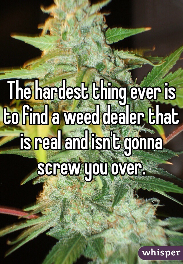 The hardest thing ever is to find a weed dealer that is real and isn't gonna screw you over. 