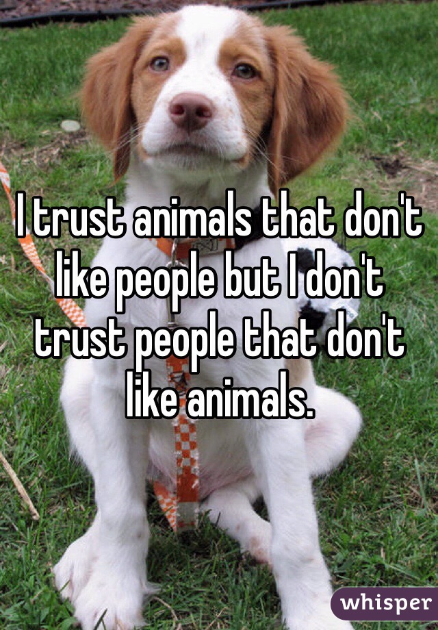 I trust animals that don't like people but I don't trust people that don't like animals.