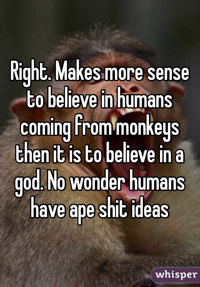 Right. Makes more sense to believe in humans coming from monkeys then it is to believe in a god. No wonder humans have ape shit ideas