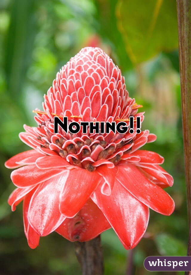 Nothing!!