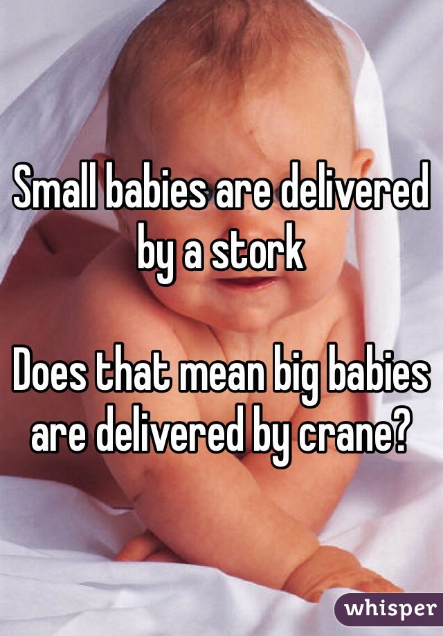 Small babies are delivered by a stork 

Does that mean big babies are delivered by crane?