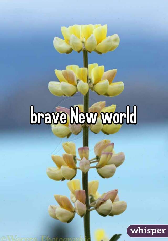 brave New world