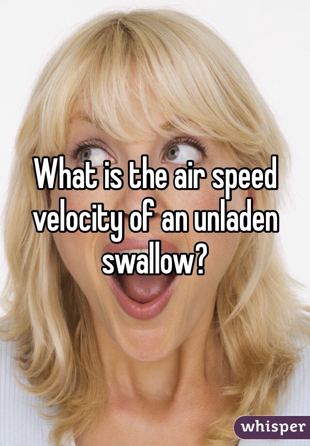 What is the air speed velocity of an unladen swallow?