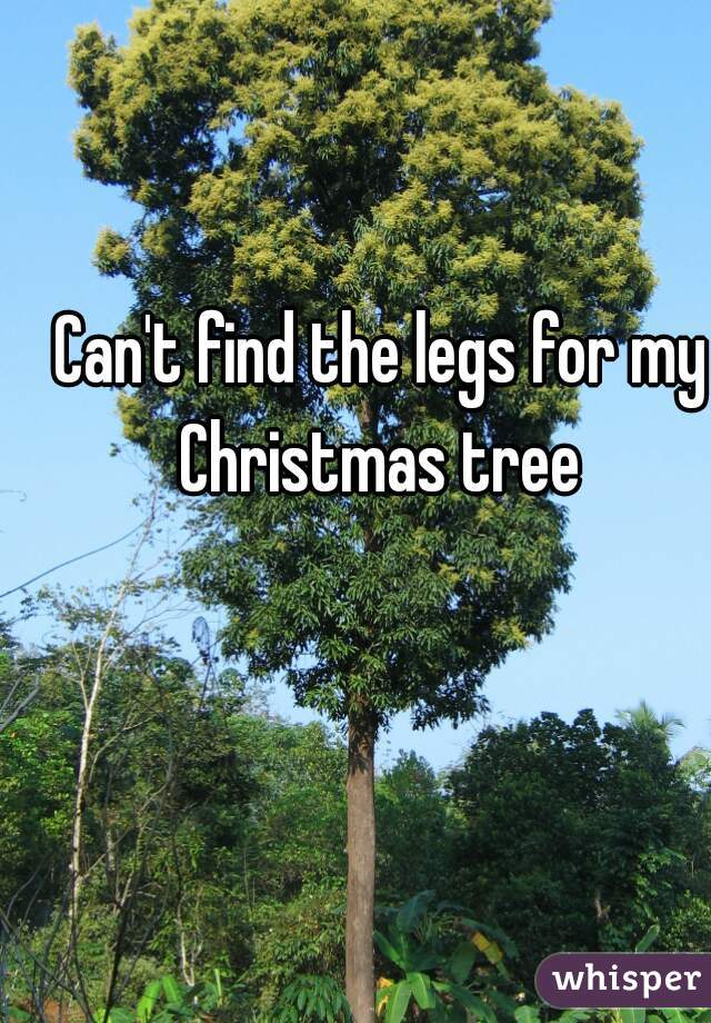 Can't find the legs for my Christmas tree 