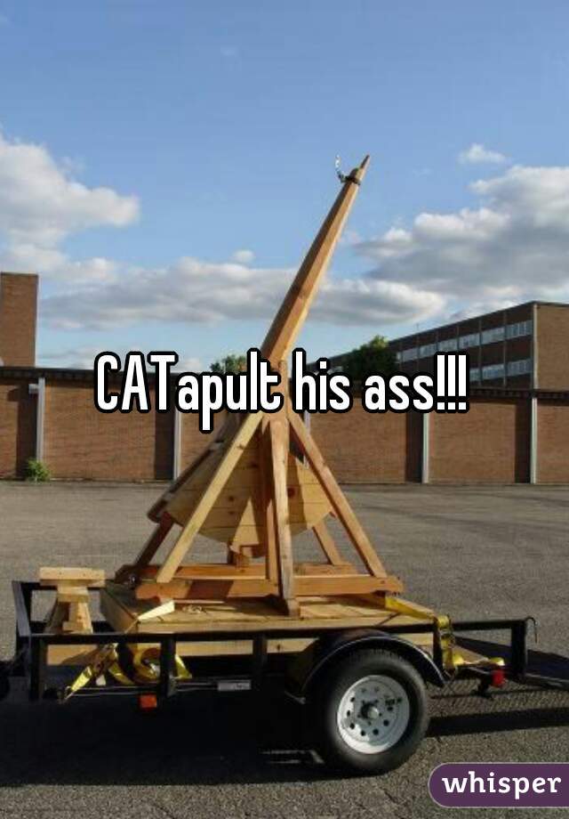 CATapult his ass!!!
