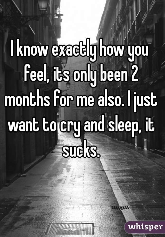 I know exactly how you feel, its only been 2 months for me also. I just want to cry and sleep, it sucks.