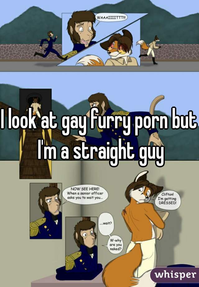 I look at gay furry porn but I'm a straight guy