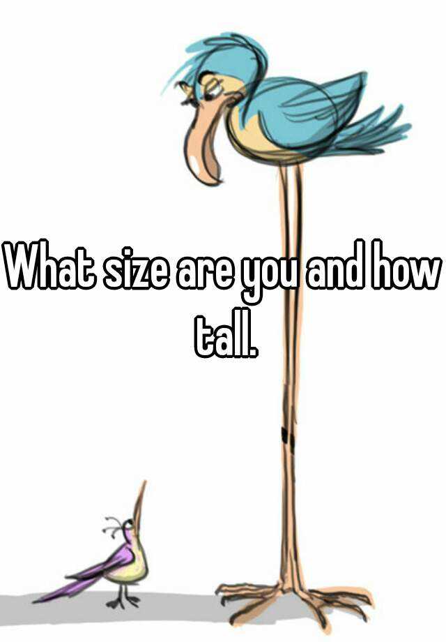 what-size-are-you-and-how-tall