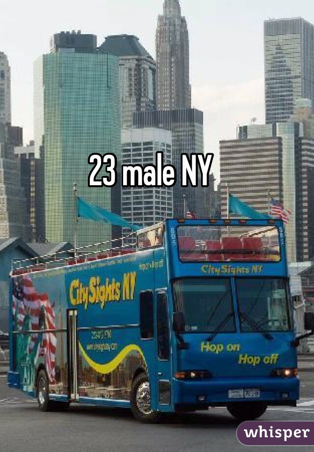 23 male NY