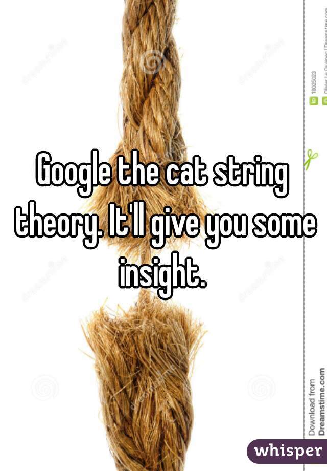 What is the cat string theory?