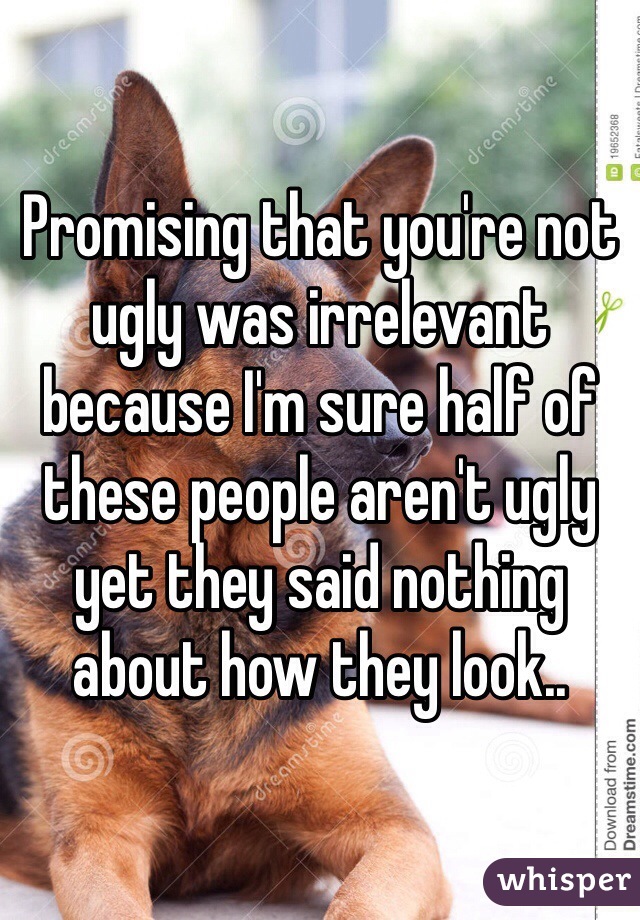 Promising that you're not ugly was irrelevant because I'm sure half of these people aren't ugly yet they said nothing about how they look.. 