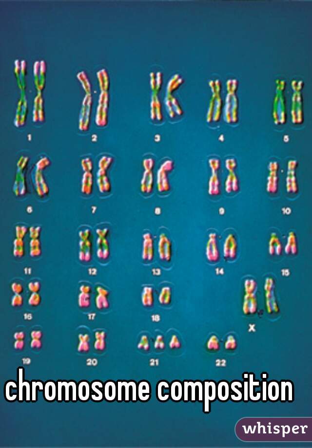 chromosome composition