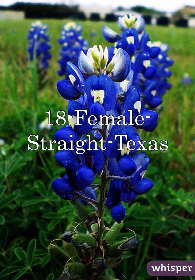 18-Female-Straight-Texas