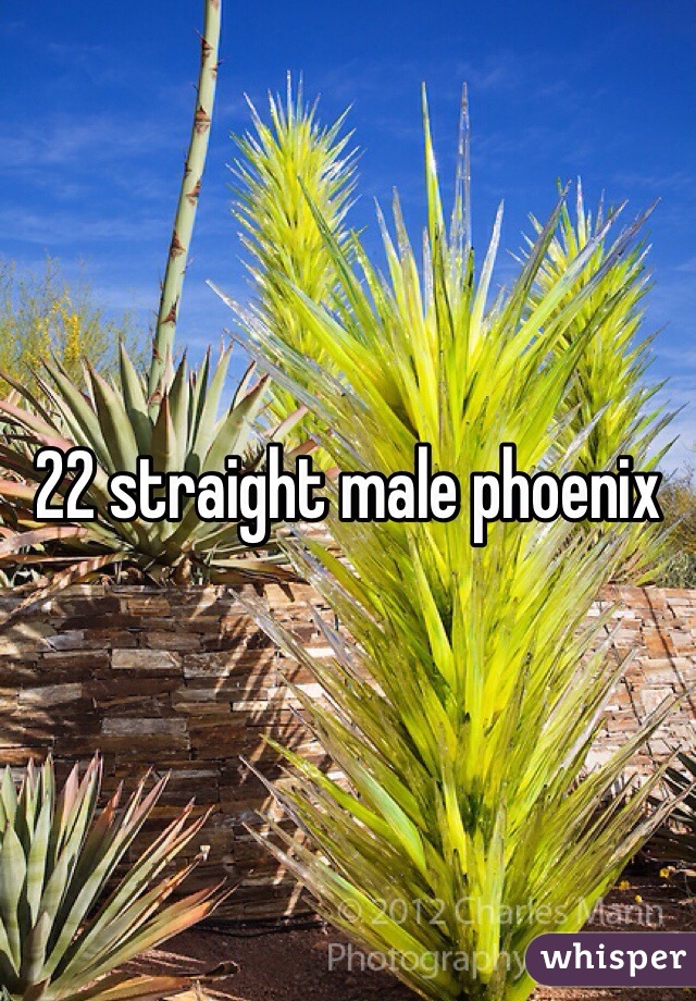 22 straight male phoenix 