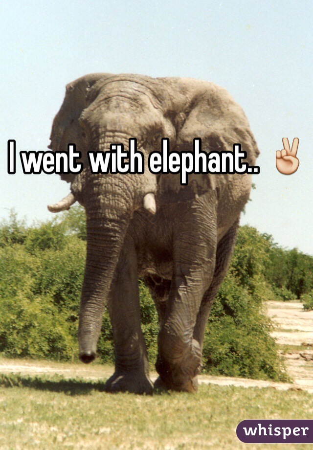 I went with elephant.. ✌️