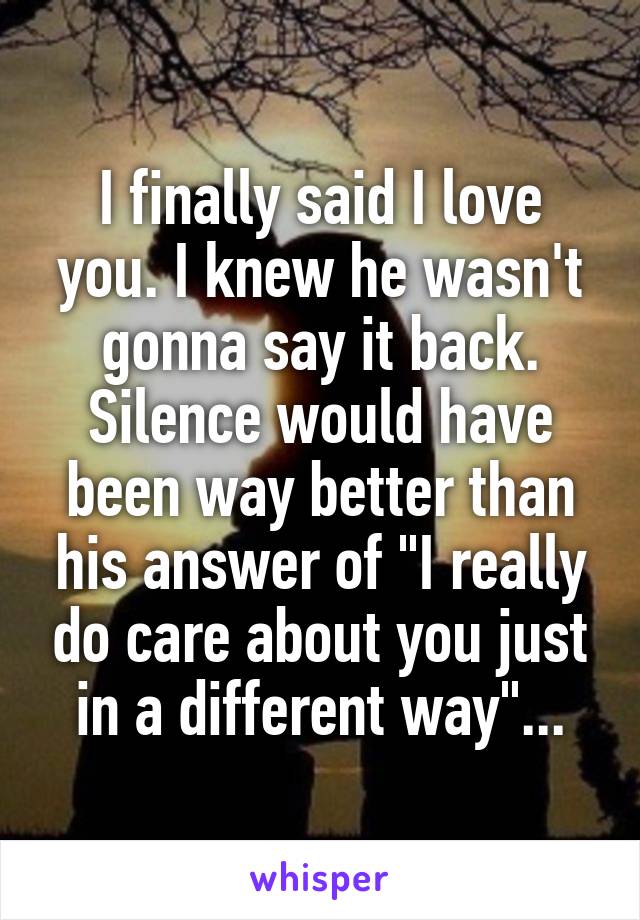 I finally said I love you. I knew he wasn't gonna say it back. Silence would have been way better than his answer of "I really do care about you just in a different way"...