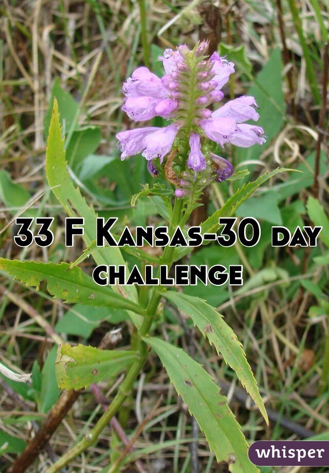 33 F Kansas-30 day challenge 