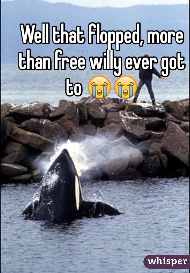 Well that flopped, more than free willy ever got to 😭😭