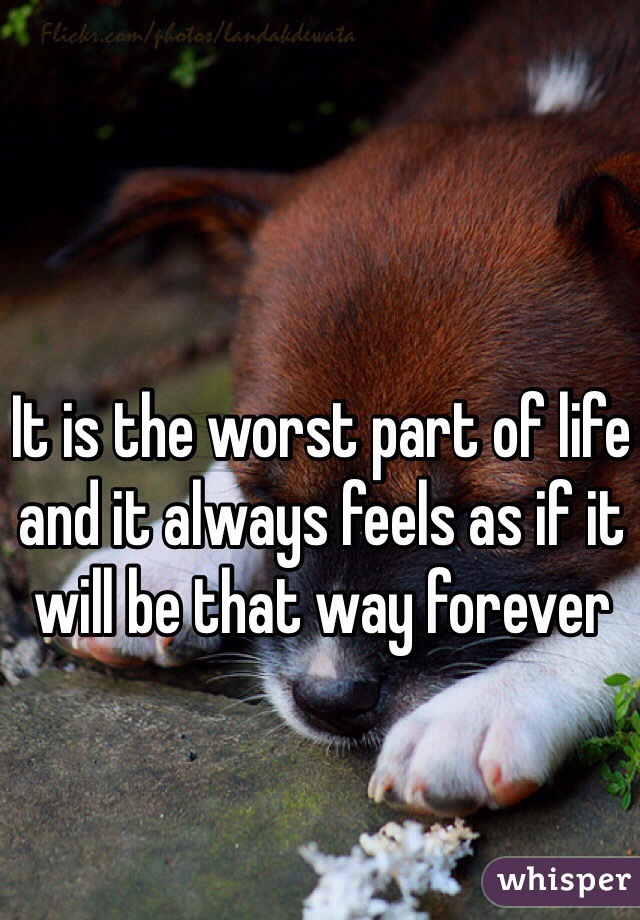 It is the worst part of life and it always feels as if it will be that way forever