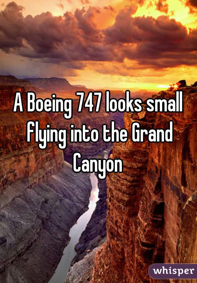 A Boeing 747 looks small flying into the Grand Canyon 