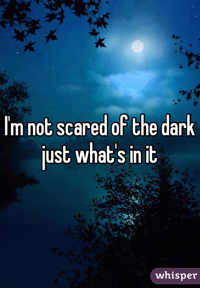 I'm not scared of the dark just what's in it 