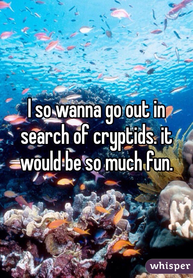 I so wanna go out in search of cryptids. it would be so much fun.
