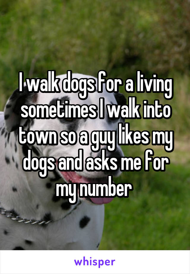 I walk dogs for a living sometimes I walk into town so a guy likes my dogs and asks me for my number 