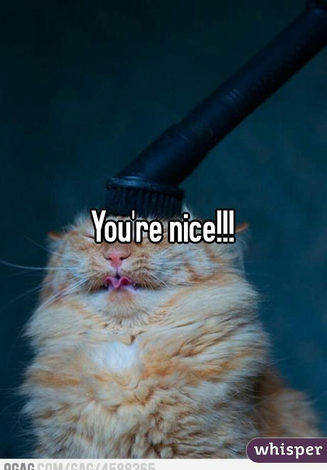 You're nice!!!