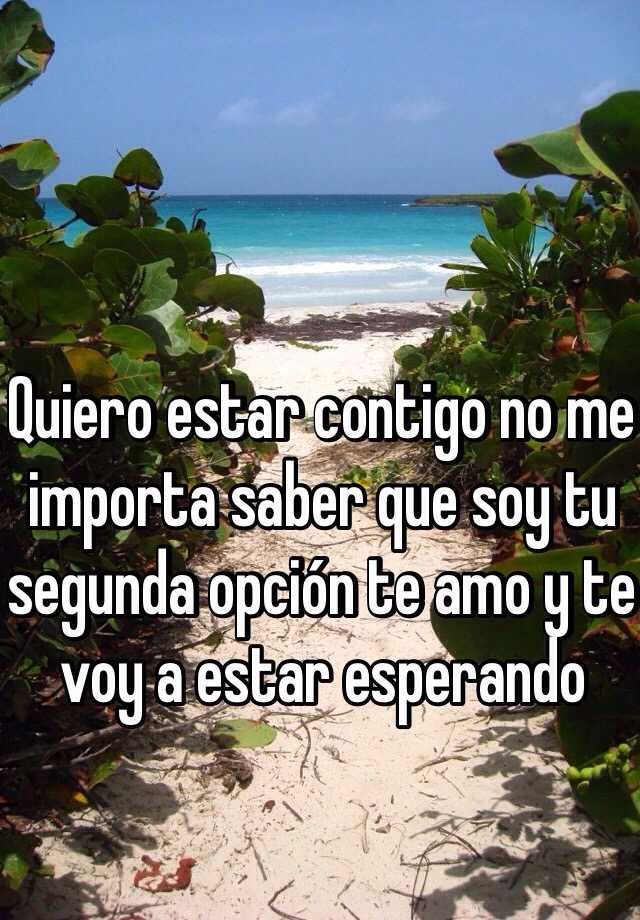 Quiero estar contigo no me importa saber que soy tu segunda opción te amo y  te voy a estar esperando