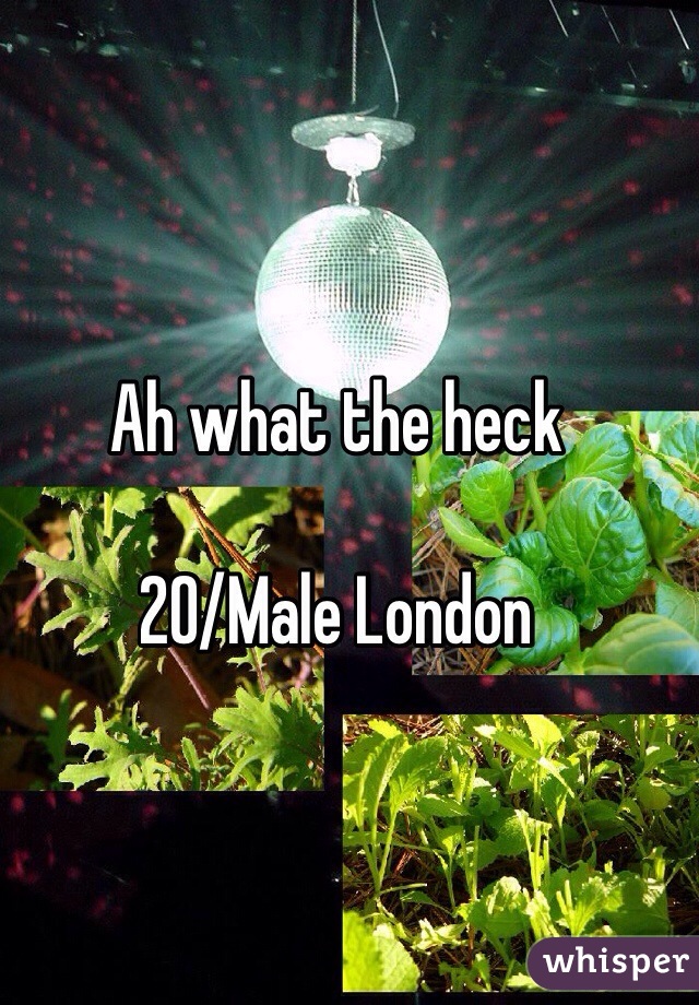 Ah what the heck

20/Male London 