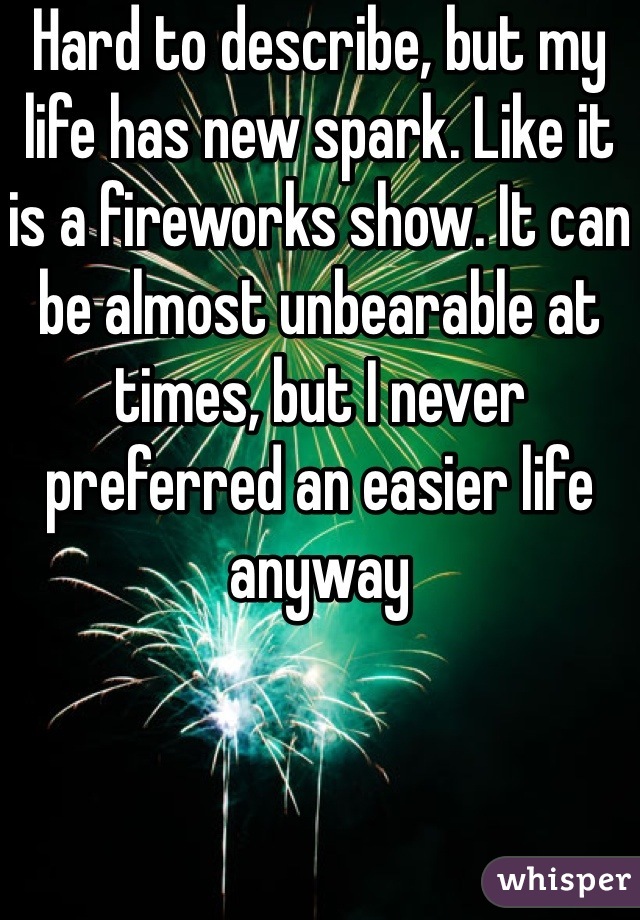 Hard to describe, but my life has new spark. Like it is a fireworks show. It can be almost unbearable at times, but I never preferred an easier life anyway 