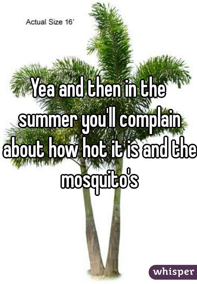 Yea and then in the summer you'll complain about how hot it is and the mosquito's