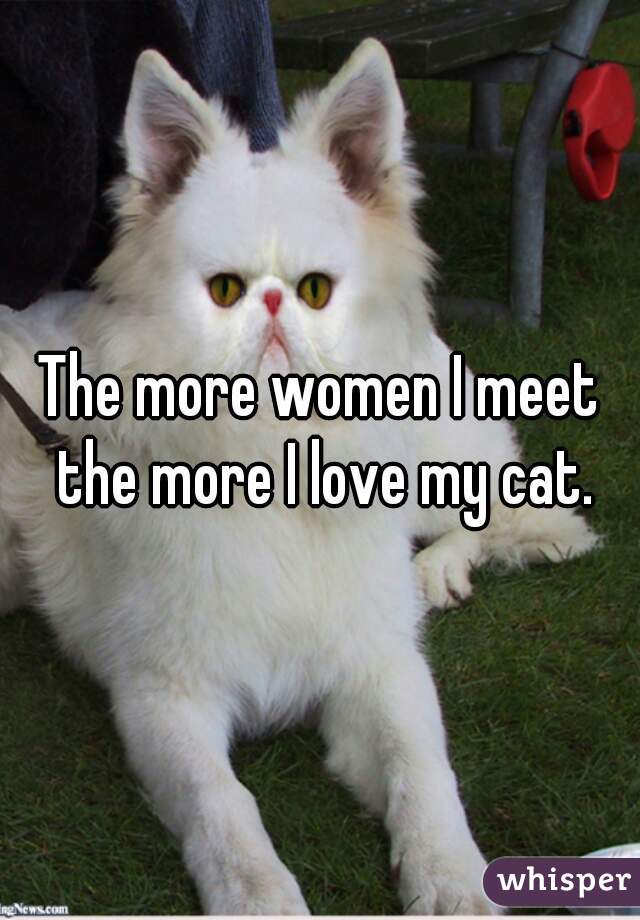 The more women I meet the more I love my cat.