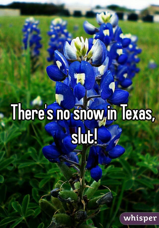 There's no snow in Texas, slut!
