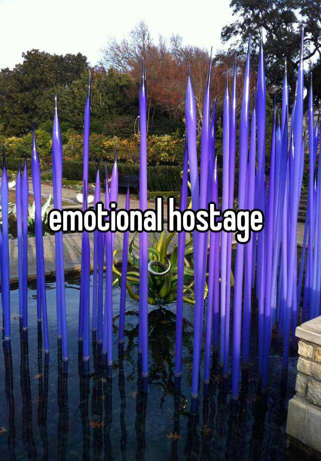 emotional-hostage-rescuing-life-by-leslie-cameron-bandler-abebooks