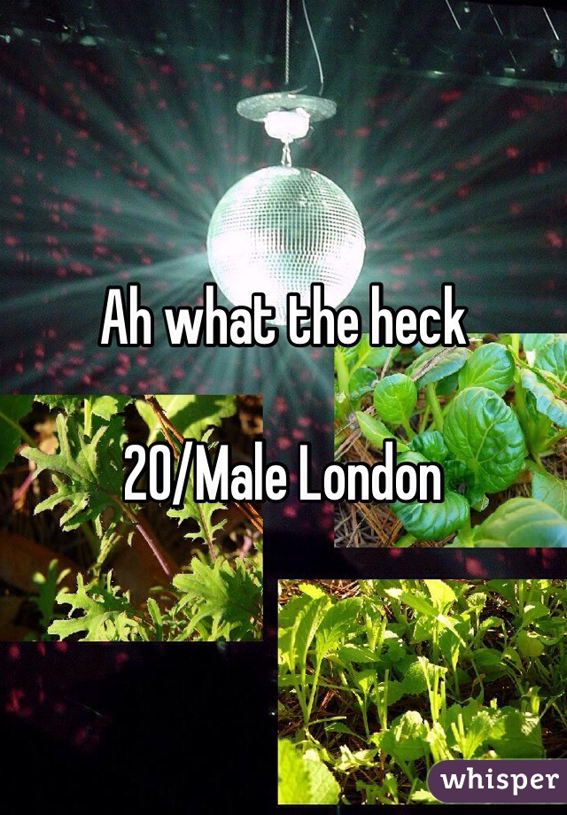 Ah what the heck

20/Male London