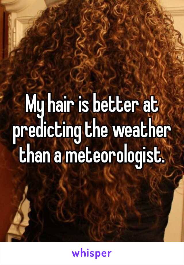 My hair is better at predicting the weather than a meteorologist. 