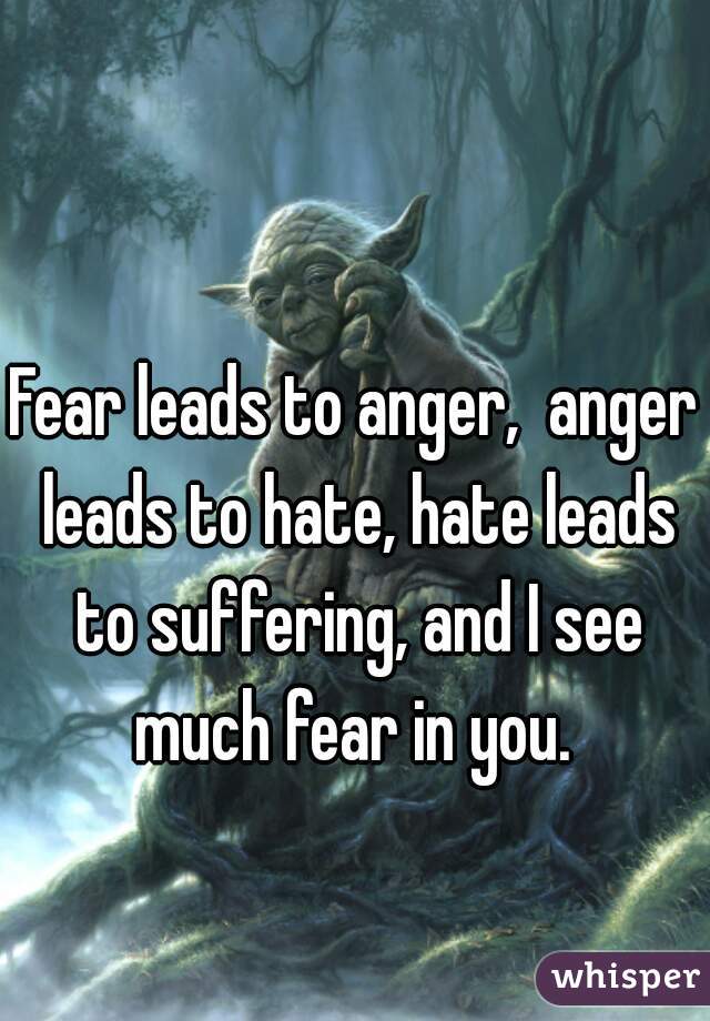 Fear leads to anger,  anger leads to hate, hate leads to suffering, and I see much fear in you. 