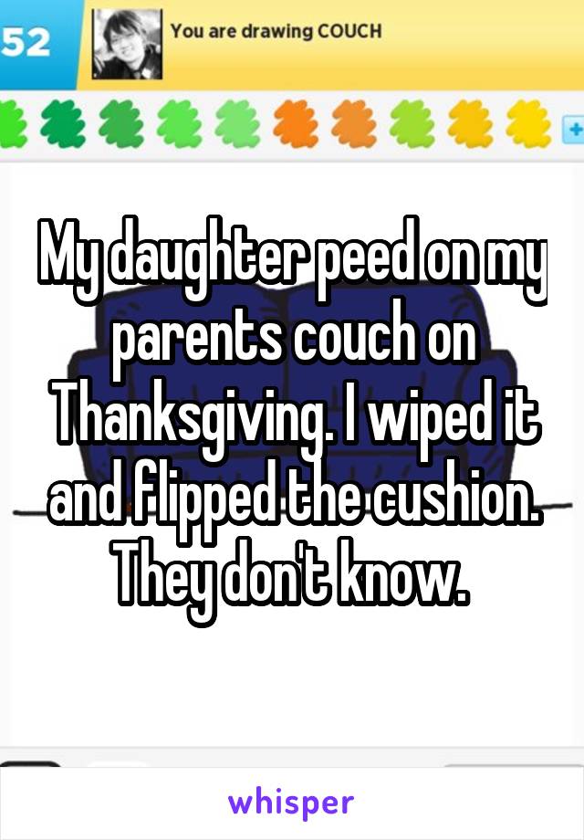 My daughter peed on my parents couch on Thanksgiving. I wiped it and flipped the cushion. They don't know. 