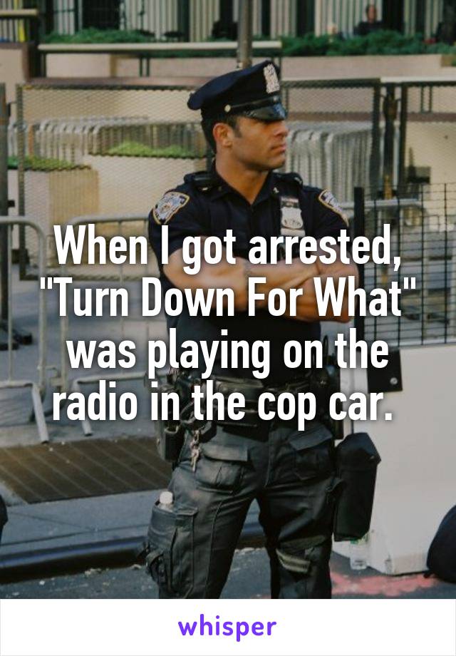 When I got arrested, "Turn Down For What" was playing on the radio in the cop car. 