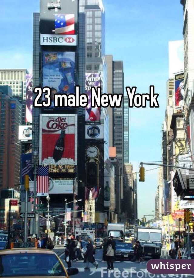 23 male New York