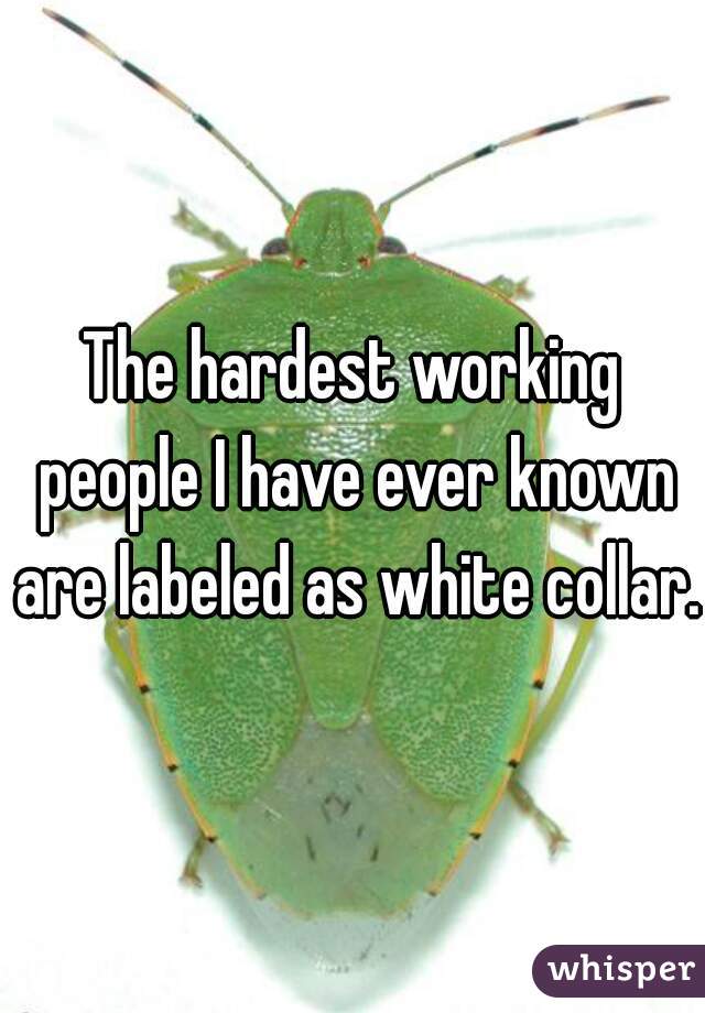 The hardest working people I have ever known are labeled as white collar.