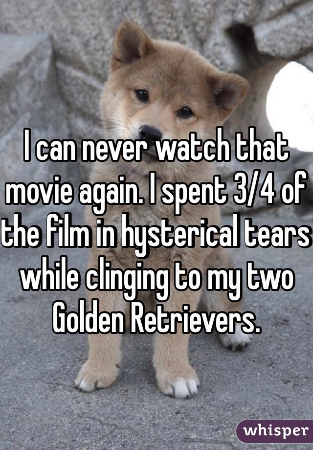 I can never watch that movie again. I spent 3/4 of the film in hysterical tears while clinging to my two Golden Retrievers.