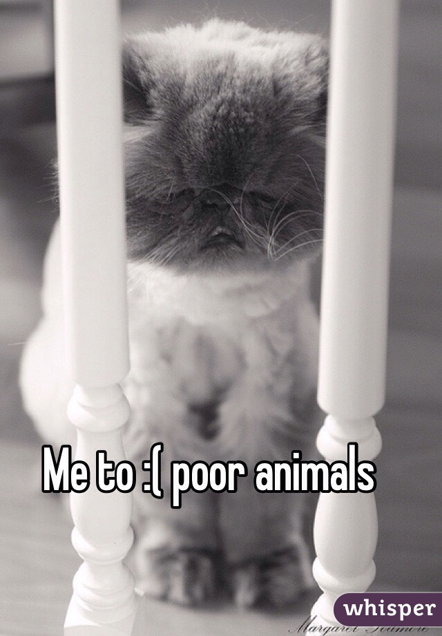 Me to :( poor animals 