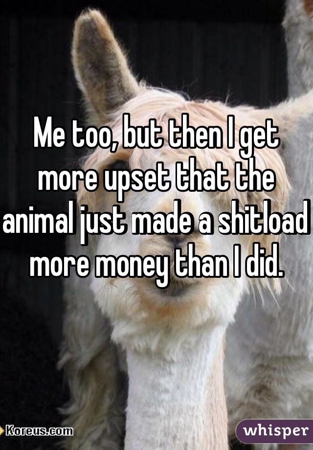 Me too, but then I get more upset that the animal just made a shitload more money than I did. 