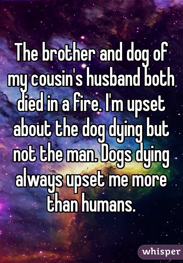 The brother and dog of my cousin's husband both died in a fire. I'm upset about the dog dying but not the man. Dogs dying always upset me more than humans.